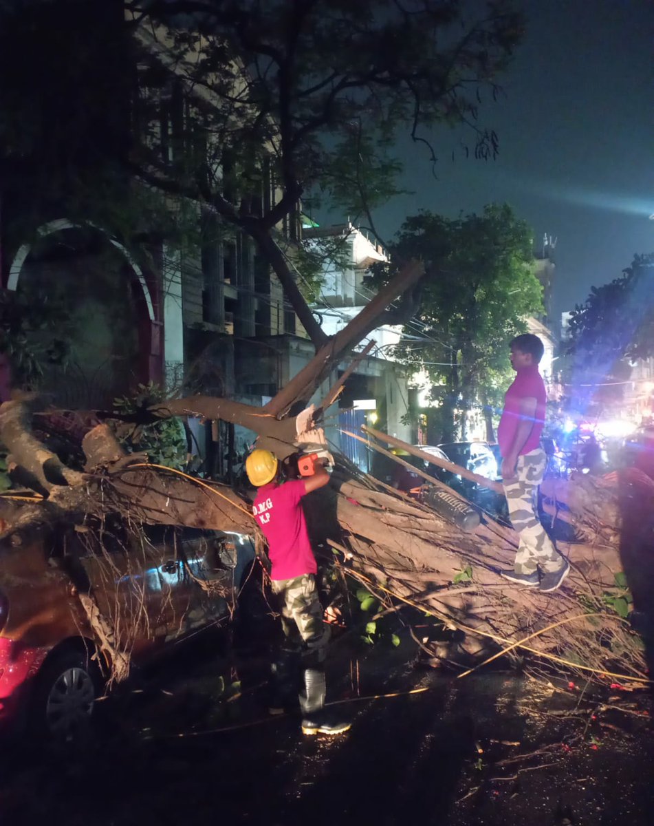 kmc_kolkata's tweet photo. Pictures of removal of uprooted trees and broken branches by our frontline workers at Ward 63

#KMConDuty https://t.co/9RvXkGkrvZ