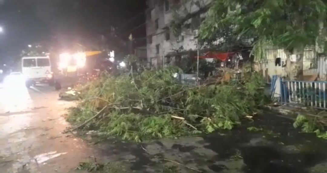kmc_kolkata's tweet photo. Pictures of removal of uprooted trees and broken branches by our frontline workers at Ward 63

#KMConDuty https://t.co/9RvXkGkrvZ