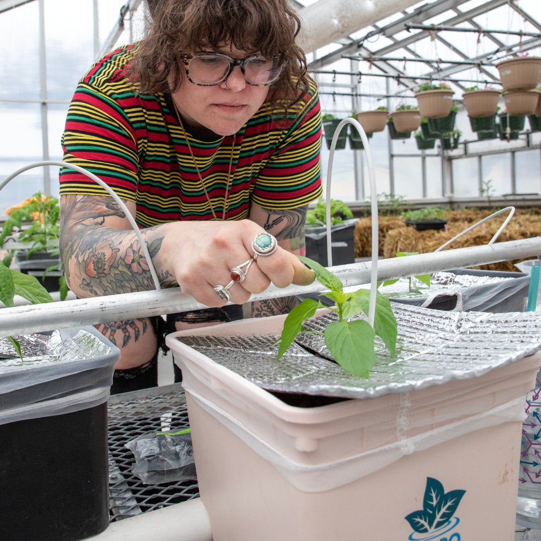 Gateway Tech College tweet media