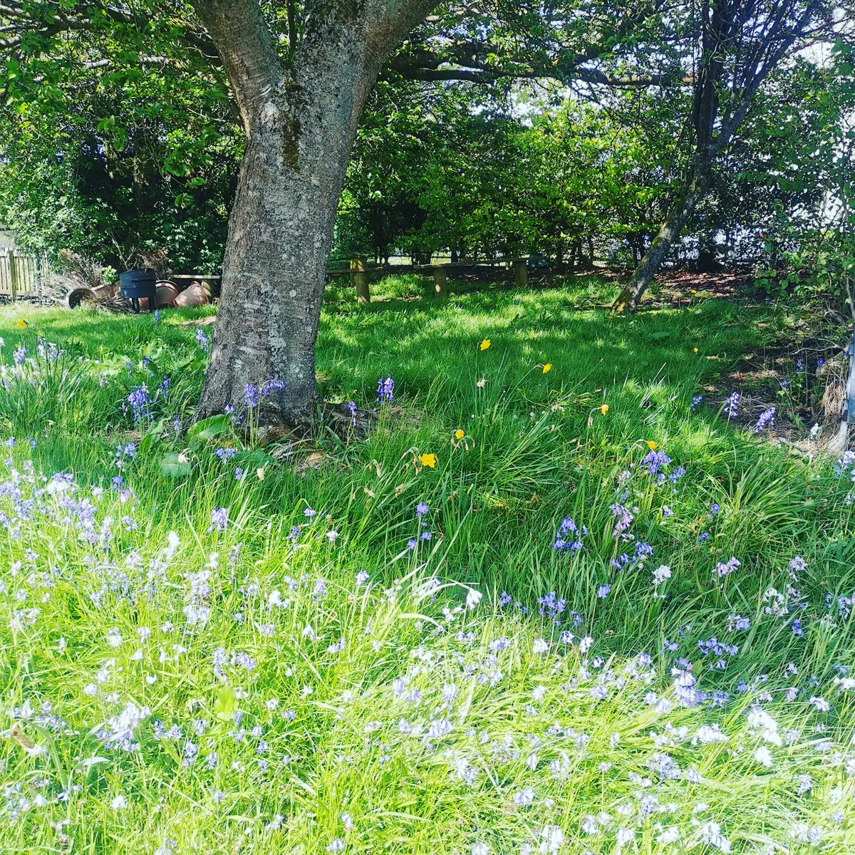 MrsSavva's tweet photo. A lovely wee drive up to our partnership school to work with the wonderful PT up there.
It was lovely to work collaboratively in the prettiest of surroundings. #partnershipschool #workingcollaboratively #ruralschool #shared https://t.co/aCMzfCGzU4