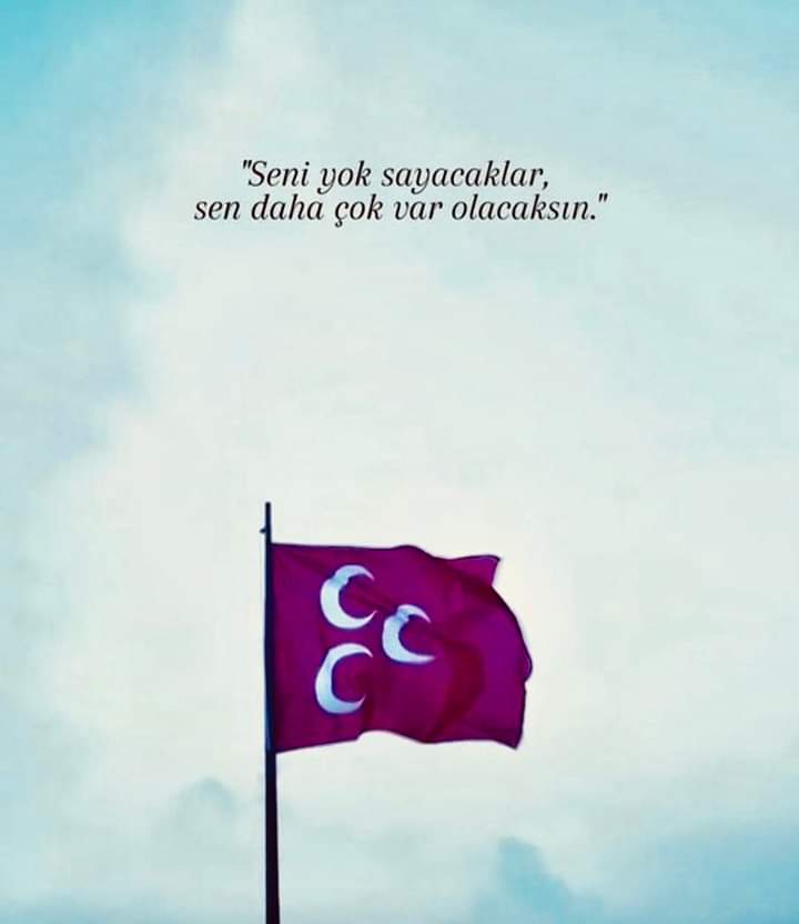 GÖKBÖRÜ🇹🇷 (@yucel41315880) on Twitter photo 