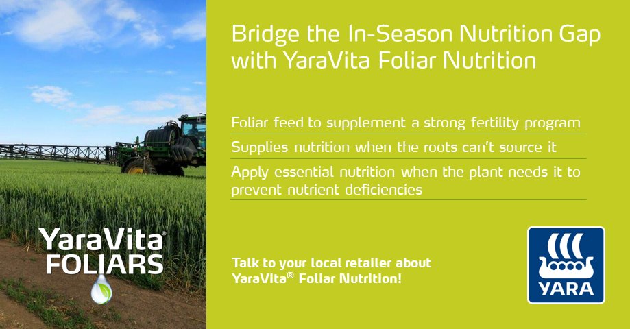 YaraWesternCdn's tweet photo. Say goodbye to the in-season nutritional gap. 
#YaraVita Foliars:
✅Foliar feed to supplement a strong fertility program
✅Supplies nutrition when the roots can’t source it
✅Apply essential nutrition when the plant needs it to prevent deficiencies
👉 https://t.co/UcWY0vIOdU https://t.co/gwVXVf66Ix