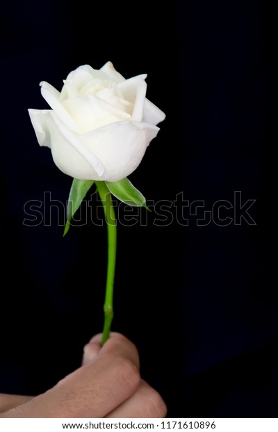 سبحان الله العظيم رب العالمين (@ypqk6q8vog5oezr) on Twitter photo 