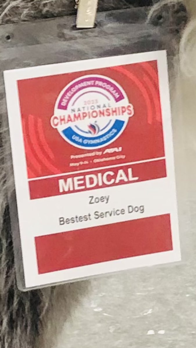YaroslavOP's tweet photo. Can’t believe @USAGym isn’t talking about the most important personnel at #USAGDevNats #GymACT #NationalChampionships https://t.co/GnI6YQWfmN