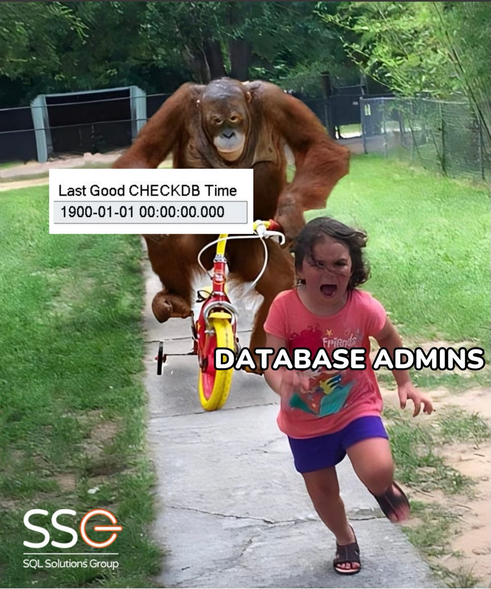 Which is the scariest?

#sql #sqlsolutionsgroup #sqlmeme #sqlhumor #dba #dbameme #dbajokes #programming #computerprogrammingmeme #microsoftsql #databaseadmin #datahumor #dbahumor #dbajokes #databaseengineer