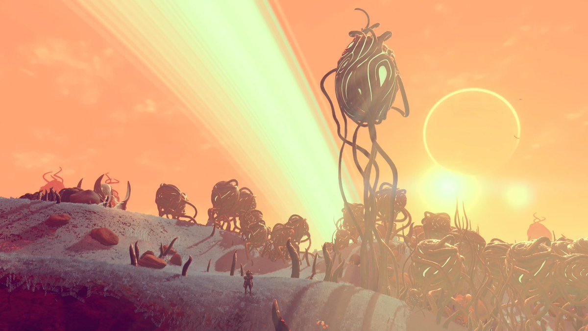 MichaelNexus6's tweet photo. #NMSFlora @BadMrRictus @marty_merrick @NoMansSky https://t.co/nAWMHHCGzB