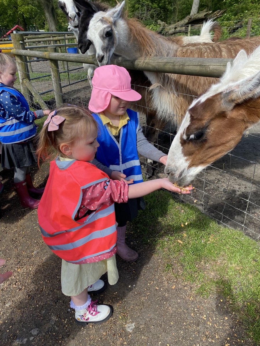 I could not be prouder of this little bunch of people. An absolute pleasure to visit @Smithillsfarm with them today. So many wonderful memories made.
#thebesttripever #exploringtheworld  #adventure 
@mesne_lea @NurseryMlps