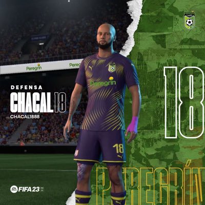 Peregrín eSports tweet media