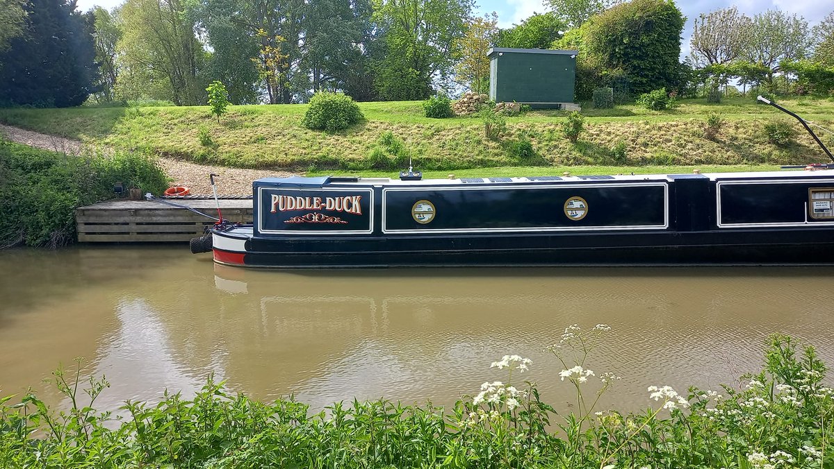 Rachel Goodfellow tweet media