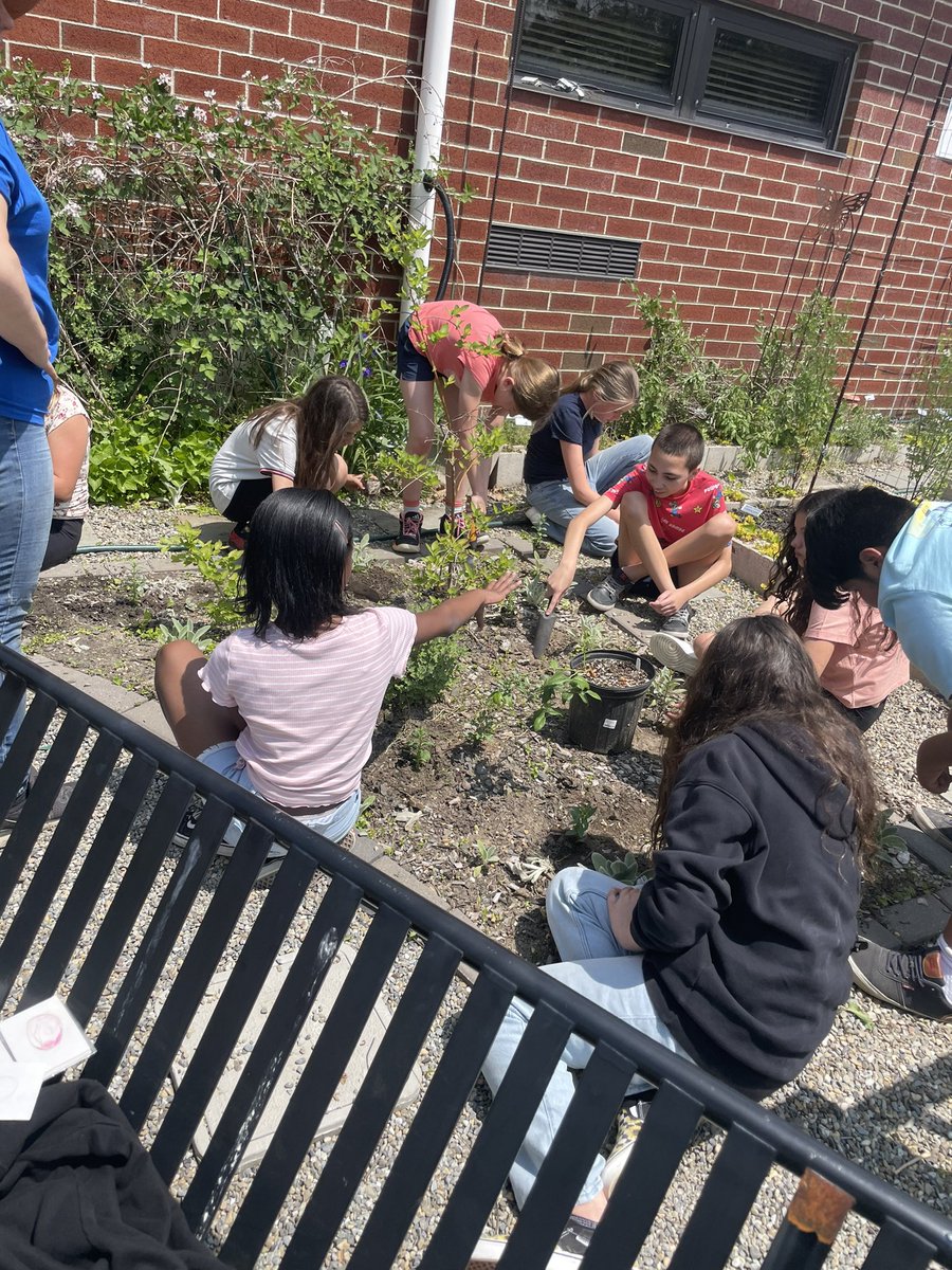 Mrs. Prochnow tweet media