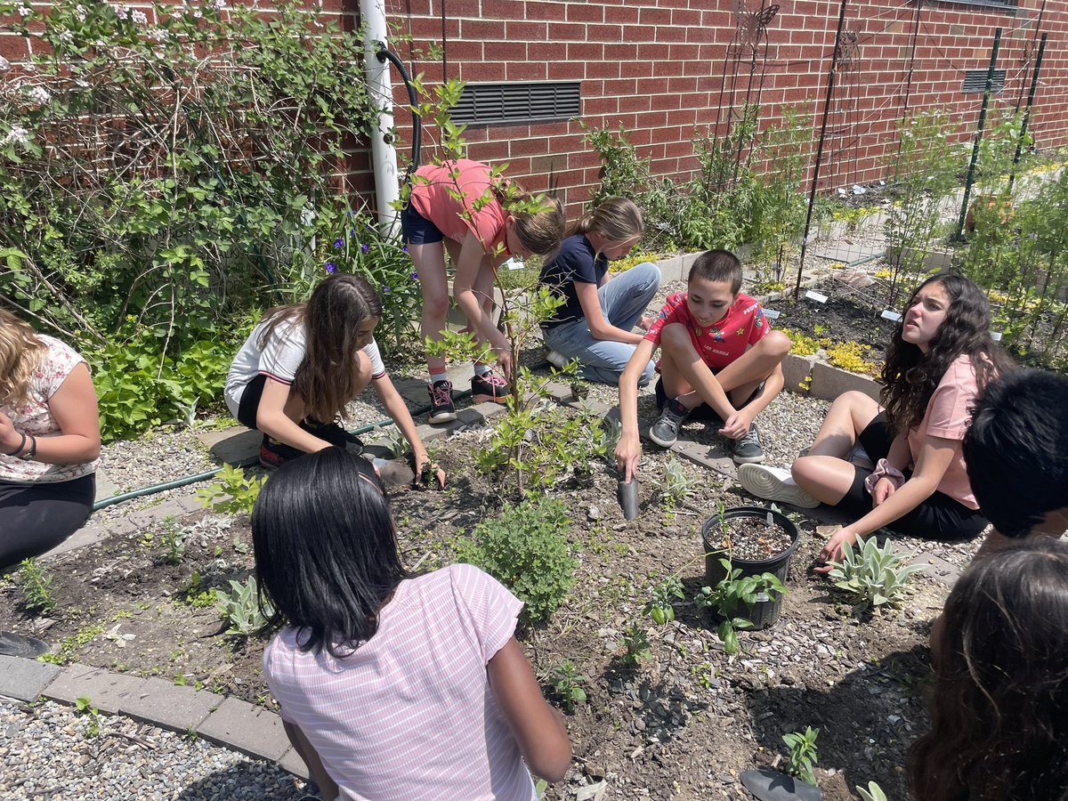 6th grade in the garden planting tomatoes and cucumbers 🍅 🥒 with Mrs. Daniels. <a href="/FSDVikings/">Farmingdale School</a>