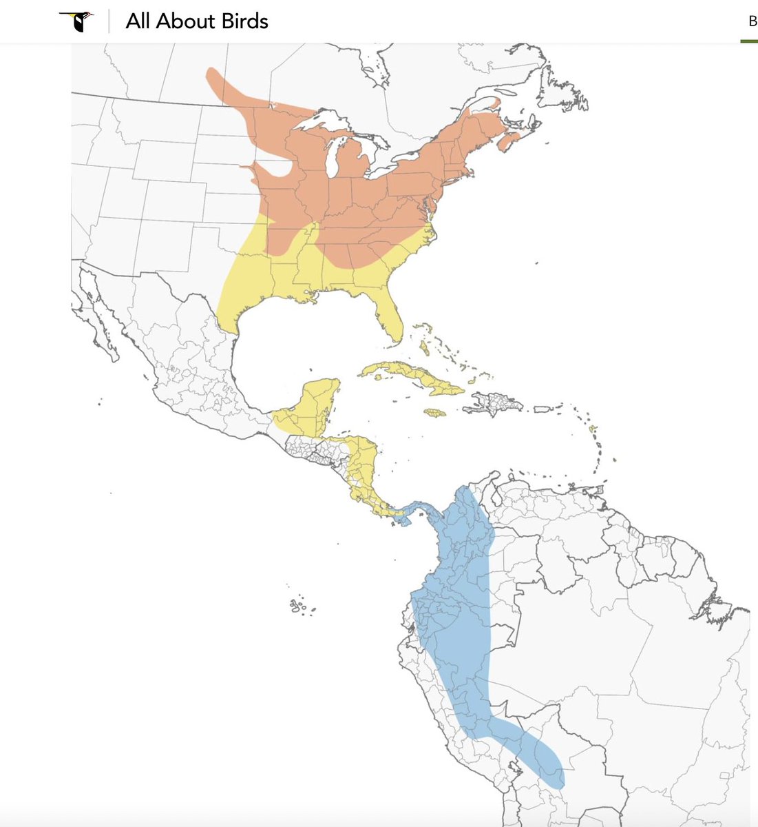 Above_96th tweet media