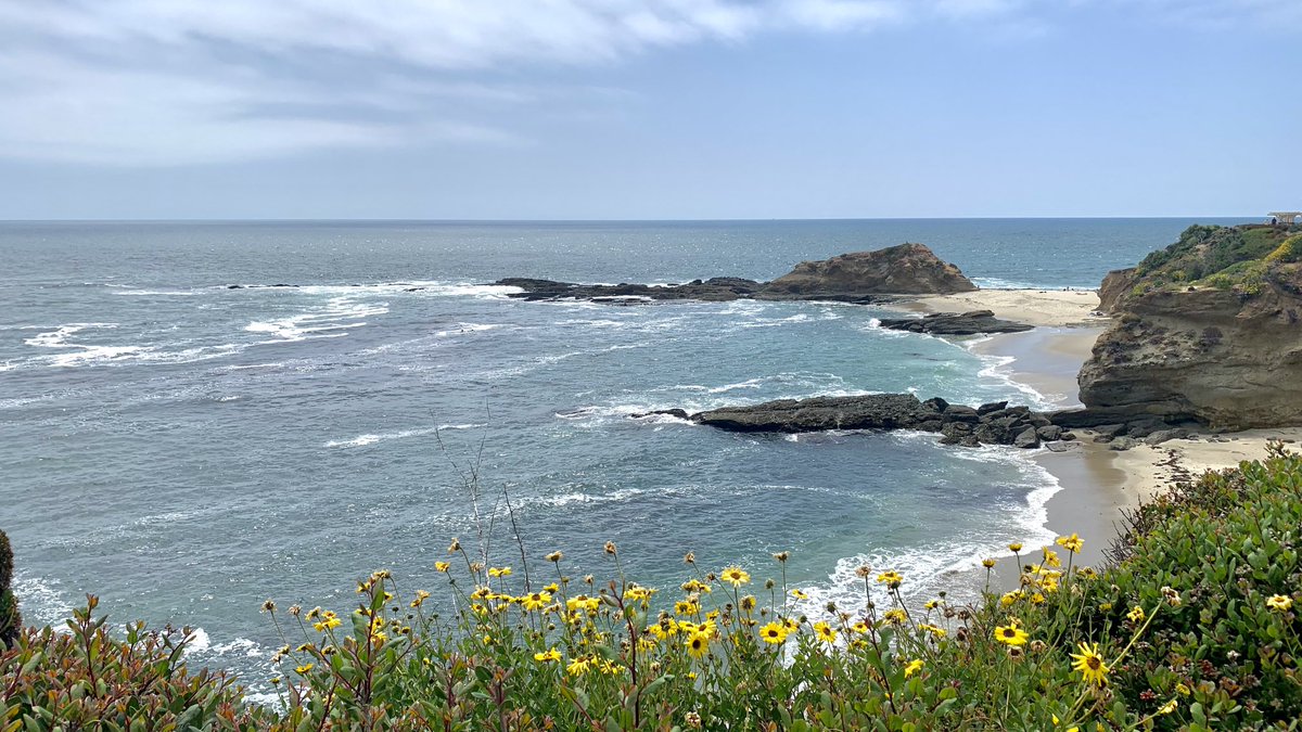 worldgoingby's tweet photo. Laguna Beach https://t.co/ZLGFemMcN0