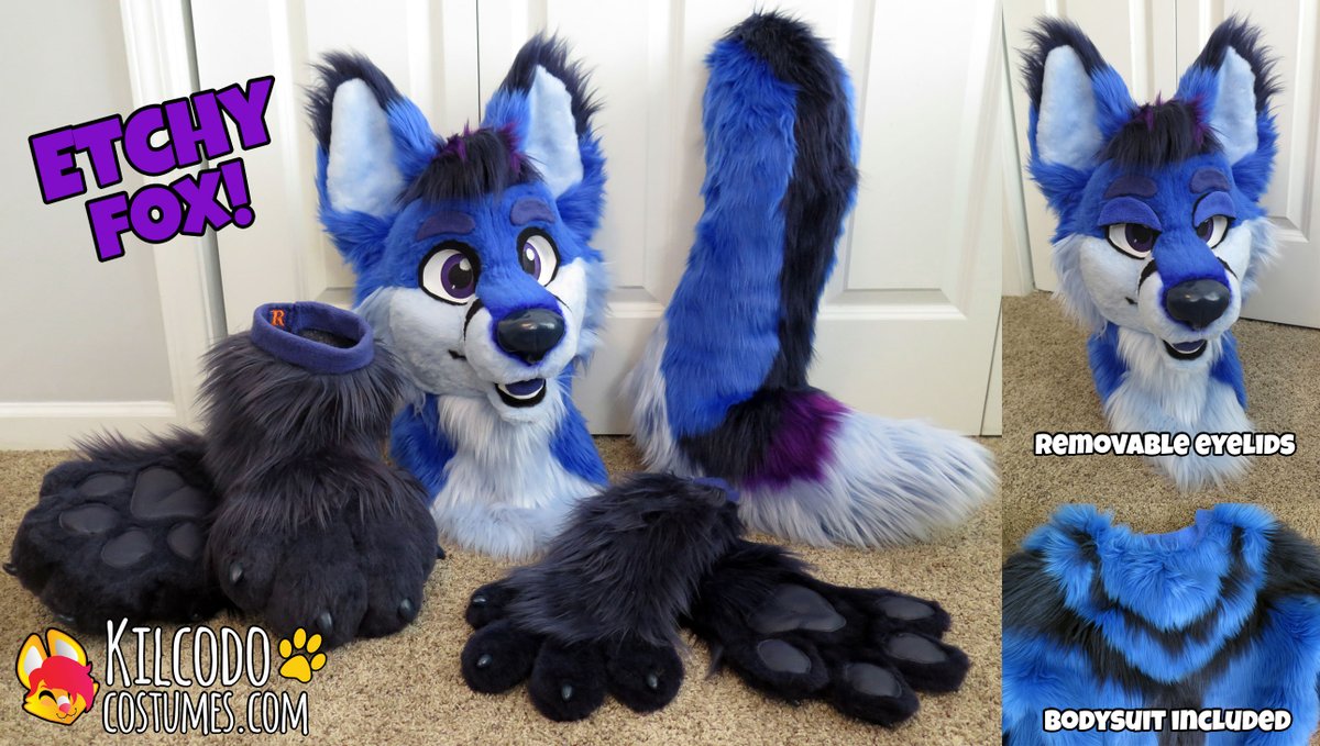 A handsome blue fox for <a href="/EtchyEtch/">Etchy 🔜 FWA</a>! This guy was running around FWA this weekend - he has a full body as well, not modeled here, as well as extra feetpaws :3 #fursuit #fursuitmaker #foxfursuit #furry #furryfandom #fursuiter