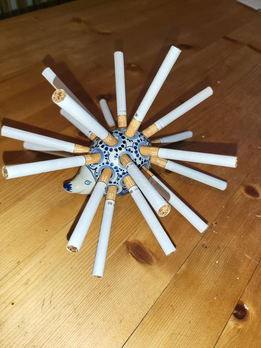Sundro Ganser tweet media