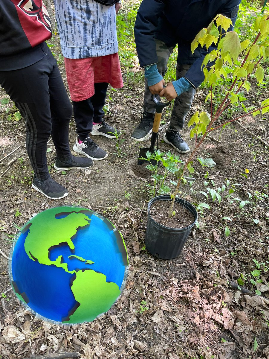 @TDSB_Greenholme #gradefourfive #collaboration @ForestValleyOEC #LearningSkillsDevelopment #bullringgolf #whalewatch #treeplanting @TOES_TDSB #Outdooreducation @tdsb #Integrity 🌎