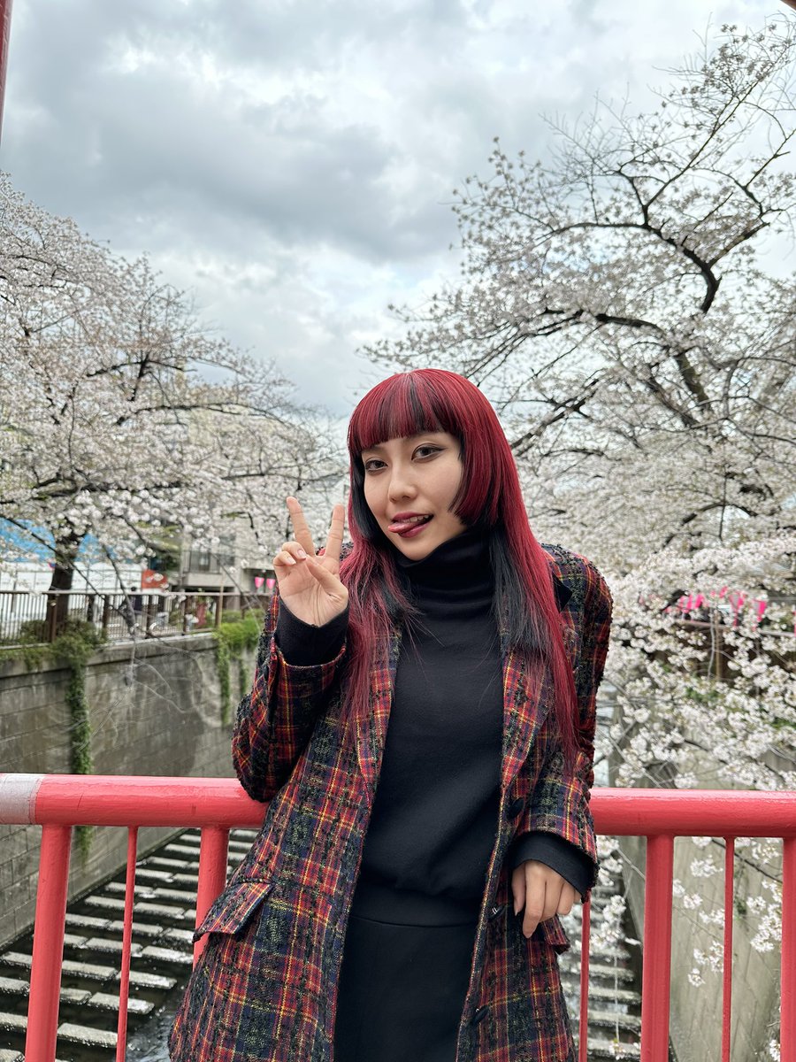000wr000's tweet photo. https://t.co/DQRdStPJeM