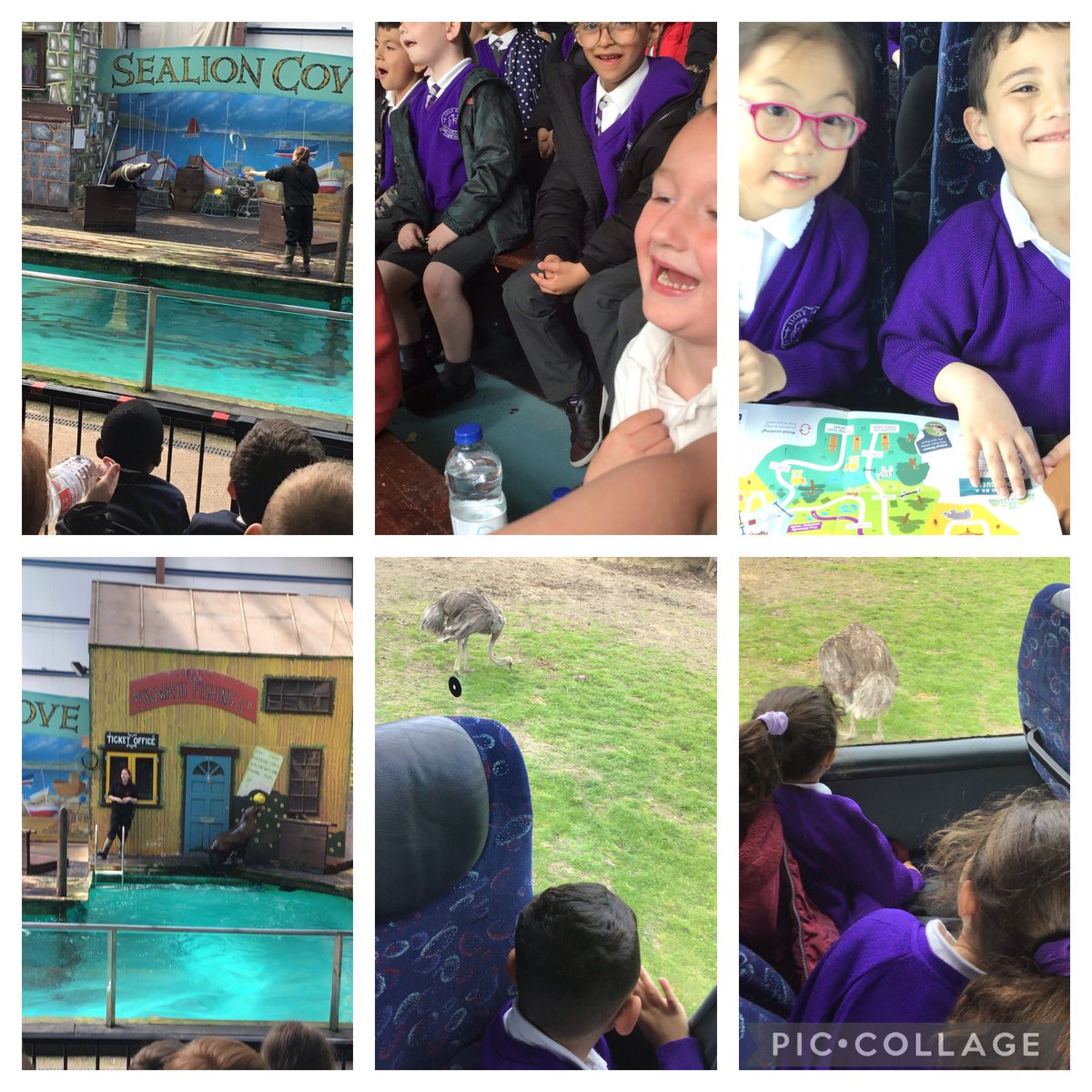 Miss McGhee & Year 1 tweet media