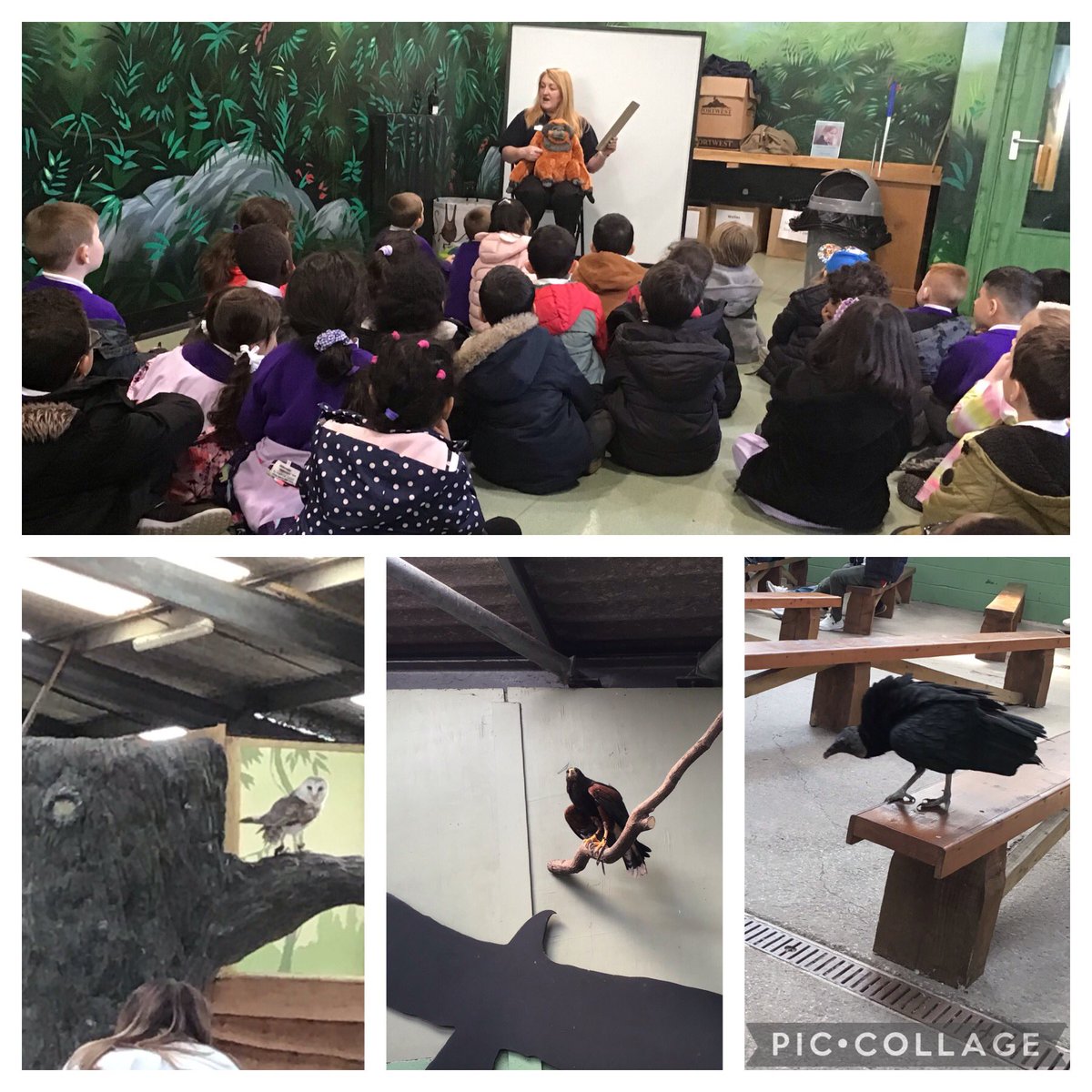 What a lovely day Year 1 have had at <a href="/KnowsleySafari/">Knowsley Safari</a>. We saw lots of animals and learnt lots of new facts #birds #mammals <a href="/HolyFamilyScie1/">Holy Family Science</a>