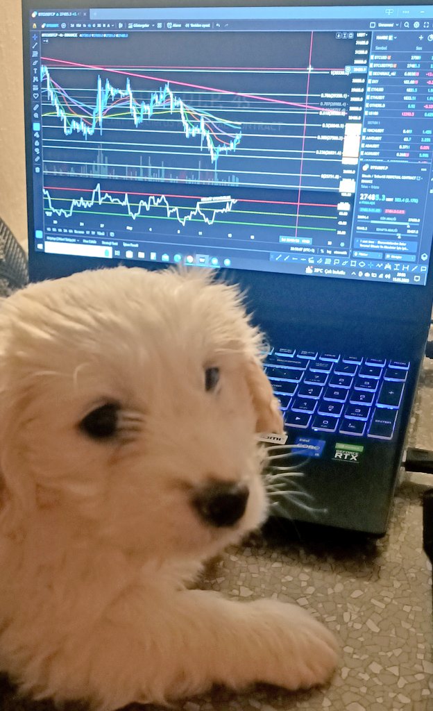 Şansım $Btc'ye de Şans Getirsin🍀🫶