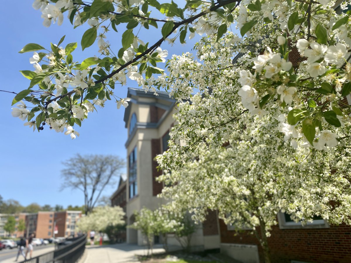 SUNY_Oneonta's tweet photo. πΈCampus is just gorgeous right now! πΈ Can't wait to welcome friends and family of the #Classof2023 on Saturday for #SpringCommencement. βΊοΈ https://t.co/pc7qGcwIzo