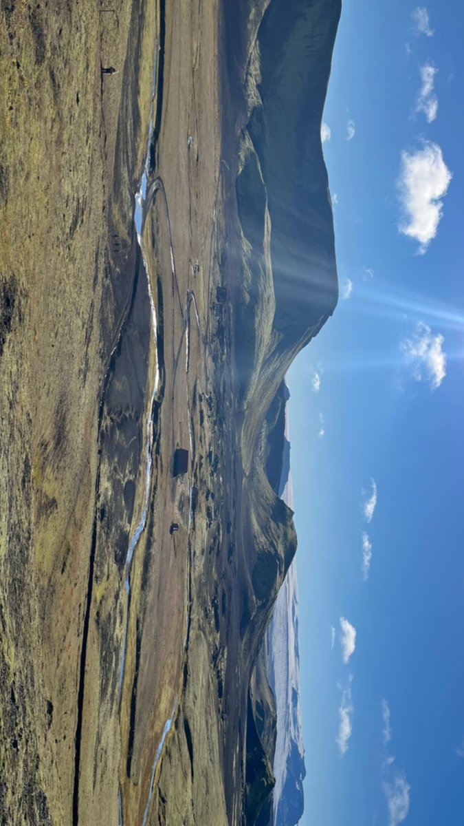 Ellen Danso tweet media