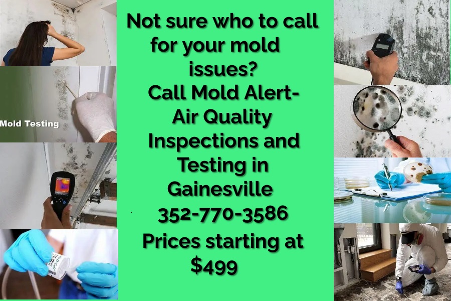 MoldAlertFL's tweet image. 