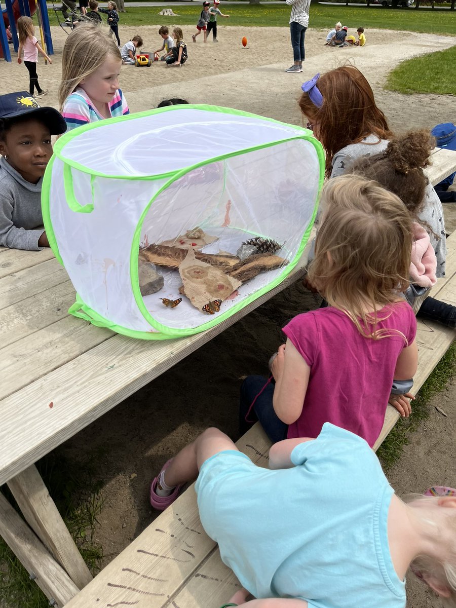 MmeCowper's tweet photo. The Hummingbird burtterfly launch was a success!! @MsMcNiece @MsYhapRECE https://t.co/LKUuOMQNNc