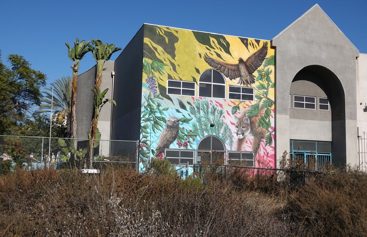 Biophilic Cities tweet media