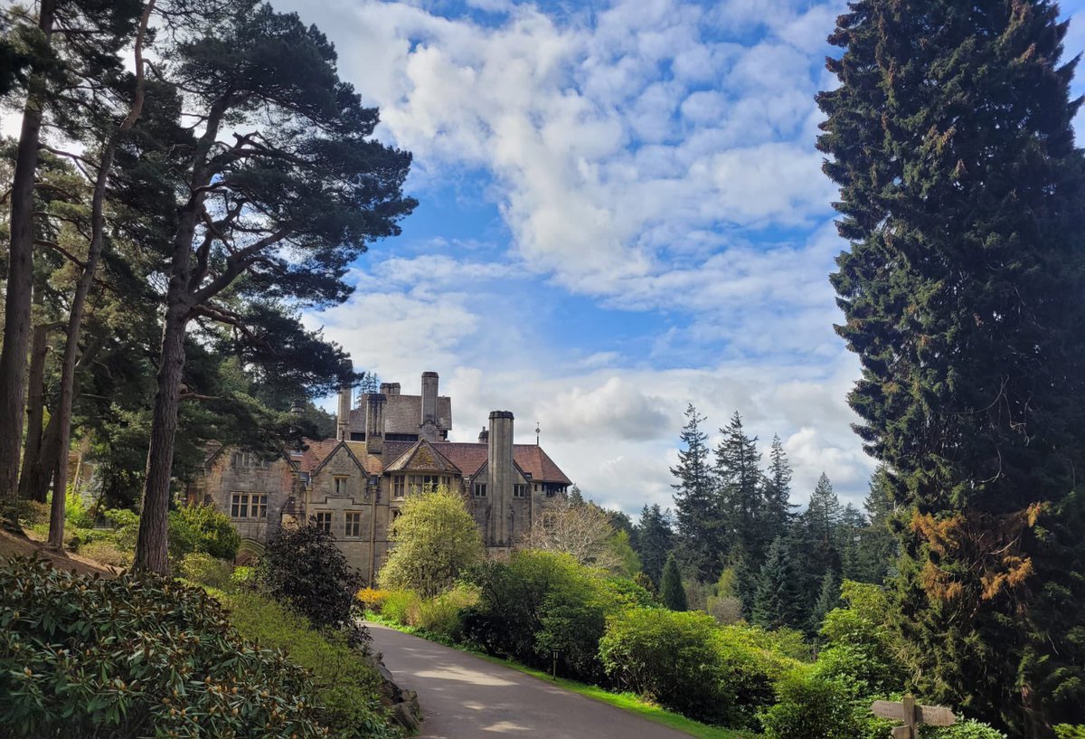 Dan Worsley tweet media