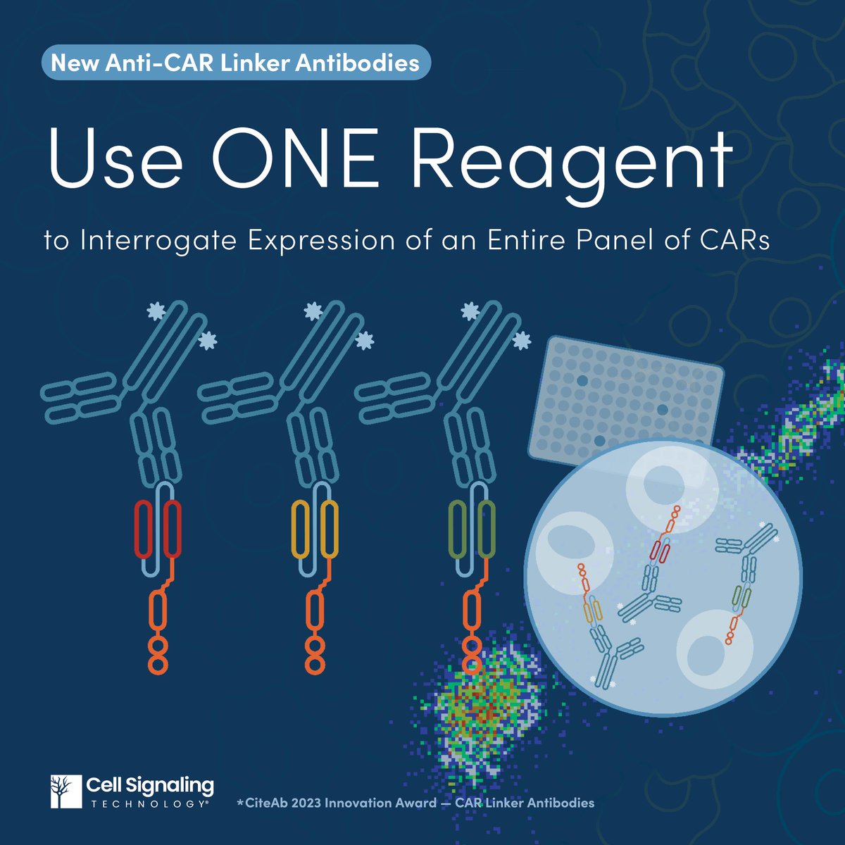CellSignal's tweet photo. Winner of the 2023 Innovation Award by @CiteAb! First-to-market anti-CAR linker mAbs confirm CAR-T expression, regardless of antigen specificity. Learn more & browse #antibody conjugates: https://t.co/1IJy6tEAiR
#CARTtherapy #Immunotherapy #CSTBlog https://t.co/PD71ZGwRlZ