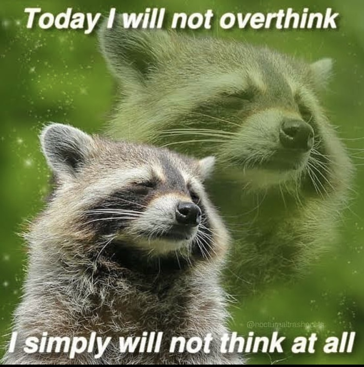 Respectful Memes (@respectfulmemes) on Twitter photo 