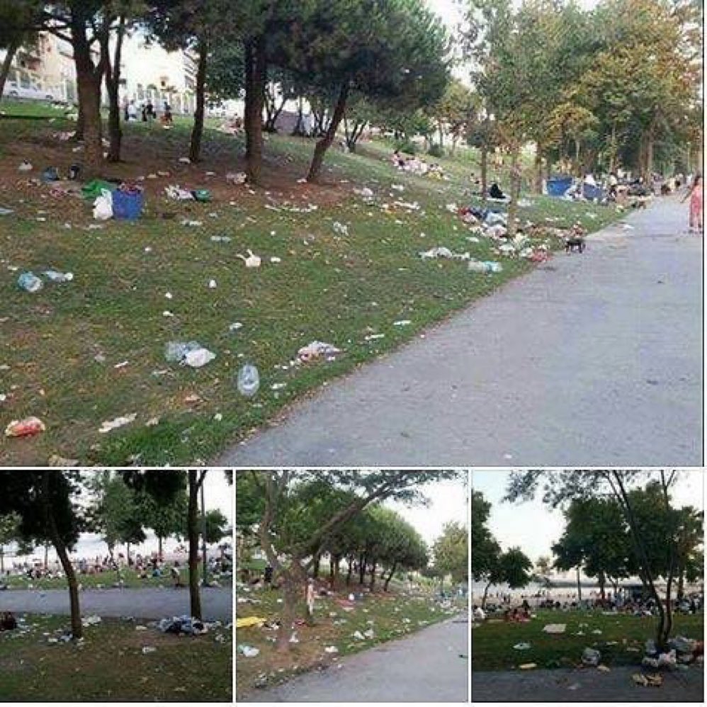 Bu ülkenin vatan aşkı sağa sola bayrak asmaktan ibaret hiç "ülkemi güzelleştireyim, yerlere çöp atmayayim, çevremi temiz tutayım, ağaclandırayim" diyen yok "Irmağının akışına ölürüm Türkiyem” diyen kişi ertesi gün ormanda mangal yakıp yerlere çöp atıyor.