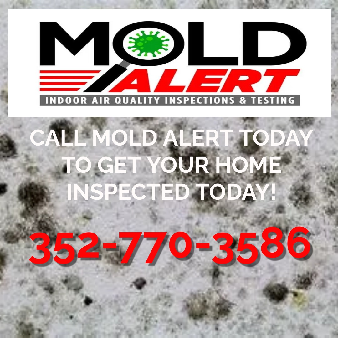 MoldAlertFL's tweet image. 