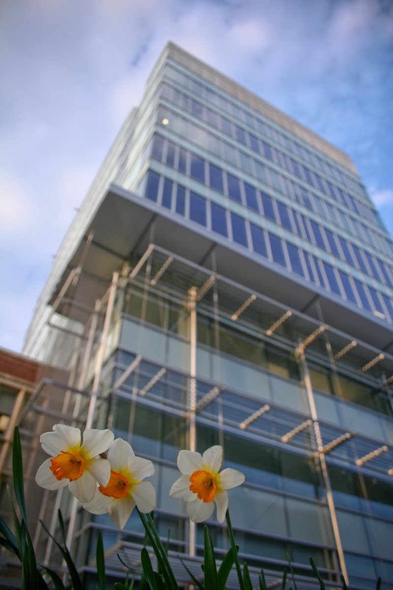 We have open T32 fellowship positions for postdoctoral fellows <a href="/vuiis/">VUIIS</a>  - come join us in #Nashville and work on cutting-edge MRI research. You can find us at the annual <a href="/ISMRM/">ISMRM</a> meeting in June presenting our latest work! 

vanderbilt.edu/postdoc/positi…