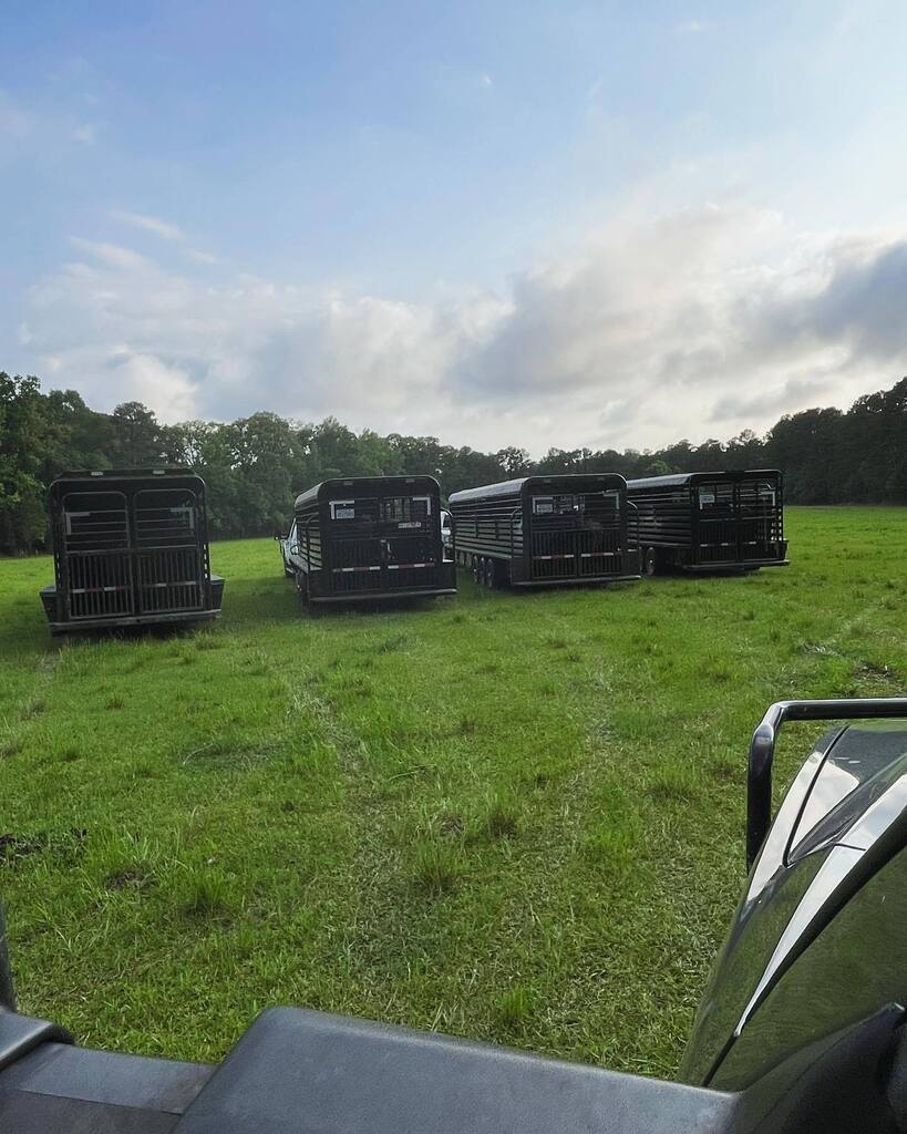 A little #latergram capturing some great views from last weekend. We hauled our yearlings from their winter pasture to our headquarters ahead of shipping the following week. We also worked cows with the neighbors, meaning we gave the calves their second … instagr.am/p/CsRhjGquLnd/