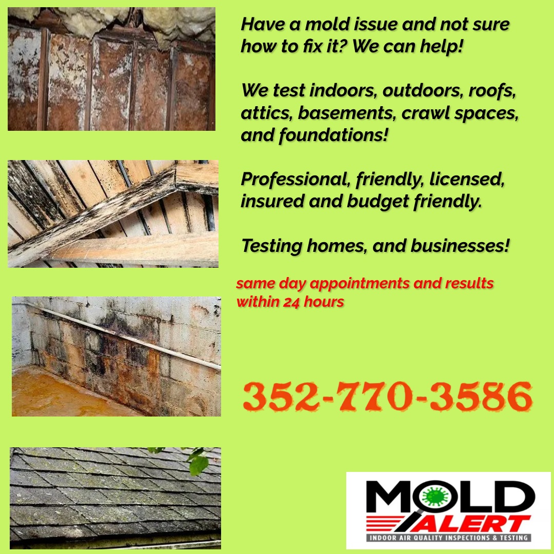 MoldAlertFL's tweet image. 