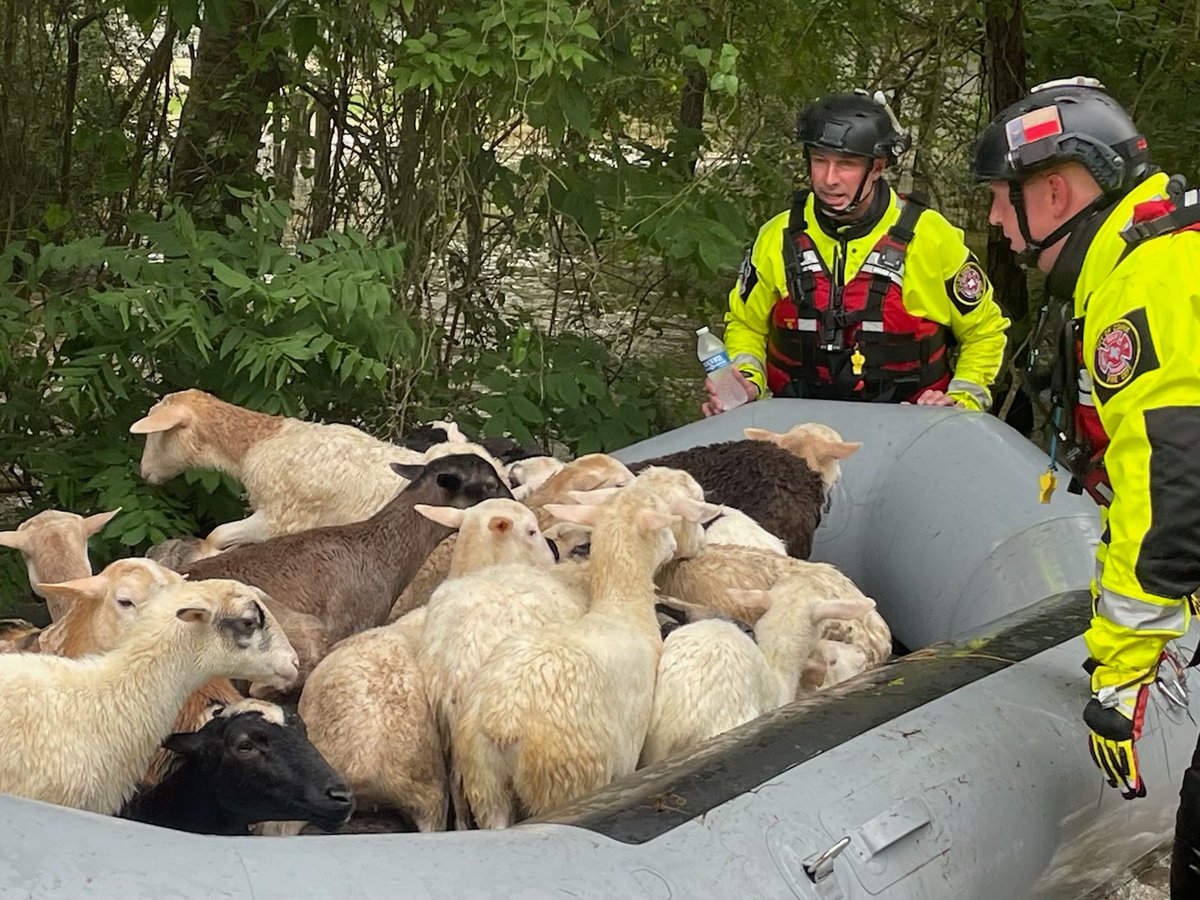 txtf1's tweet photo. TX-TF1 Water Rescue resources remain deployed across Texas at the request of @TDEM. In the past 24-hrs, TX-TF1 has helped DeWitt &amp; Montgomery Counties evacuate 5 people, 3 pets &amp; trapped livestock. Please avoid going through floodwater as it can be deeper/stronger than it appears https://t.co/6JoJZbxG4f
