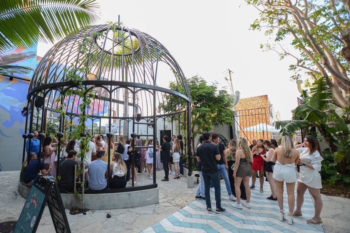 TheHawk.ETH on Twitter "If you are a BitcoinFrogs or OnChainMonkey