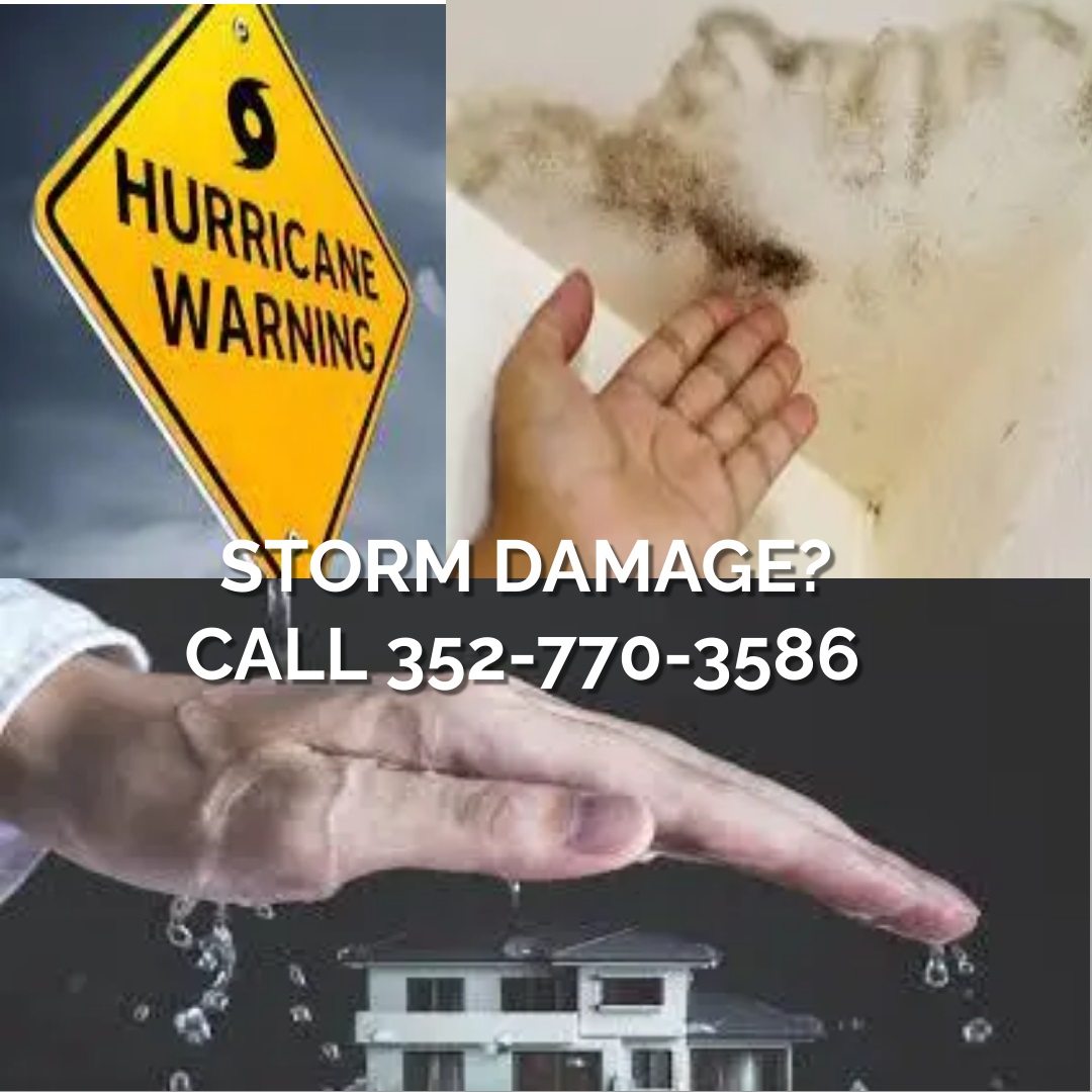 MoldAlertFL's tweet image. 