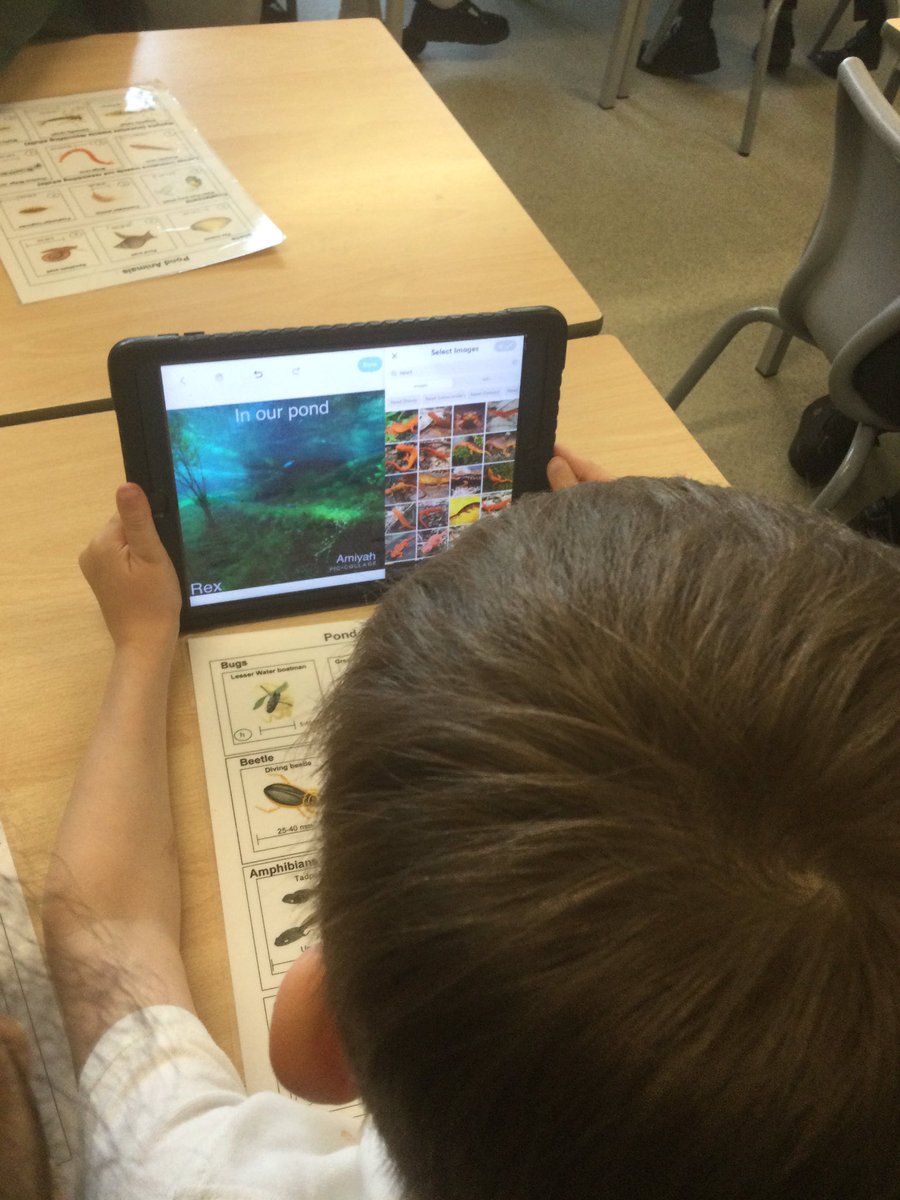 After the excitement of observing the pond creatures (we even had a stickleback!) the children learnt how to make a Pic collage, adding a background, images and text to share learning about their session. What a fantastic afternoon <a href="/HiimpactZack/">Zack Griffin</a> <a href="/ComputingBedfo1/">Computing @ Bedford Drive</a> <a href="/BedfordScience1/">Bedford Drive Science</a>