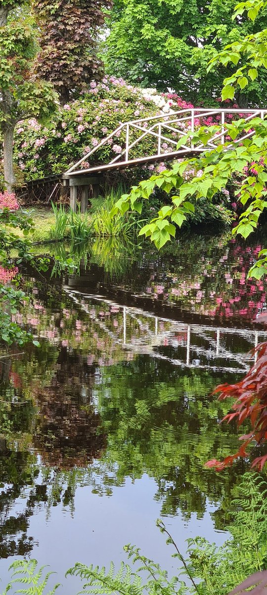 Mijn favoriete tijd van het jaar op onze kwekerij is simpelweg nu! #esveld