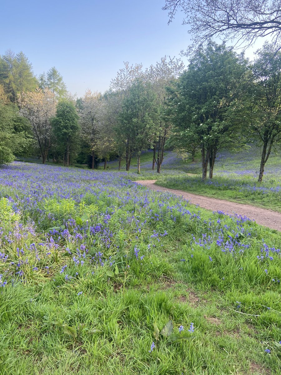 Lorraine Allchurch tweet media