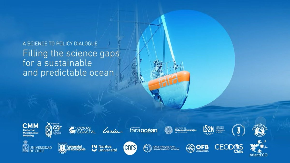 Inria Chile (@inria_chile) on Twitter photo #TaraMisionMicrobiome🦠Comenzó el workshop “Towards a Modern Analysis of omics data of the Ocean” dialogando con científicos de <a href="/EU_AtlantECO/">AtlantECO Project 🇪🇺🇧🇷🇿🇦</a>, <a href="/CeodosChile/">CEODOS Chile</a>, #PlanktECO, nuestro <a href="/Inria/">Inria</a> Challenge #OcéanIA🌊e instituciones al cruce de las ciencias y políticas oceánicas. #TaraMisionMicrobiome🦠Comenzó el workshop “Towards a Modern Analysis of omics data of the Ocean” dialogando con científicos de <a href="/EU_AtlantECO/">AtlantECO Project 🇪🇺🇧🇷🇿🇦</a>, <a href="/CeodosChile/">CEODOS Chile</a>, #PlanktECO, nuestro <a href="/Inria/">Inria</a> Challenge #OcéanIA🌊e instituciones al cruce de las ciencias y políticas oceánicas.