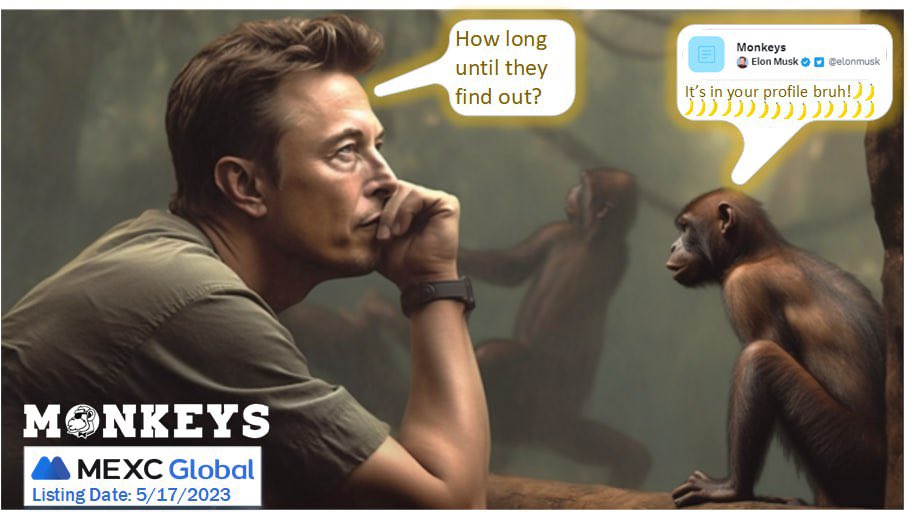 zedtradez tweet media