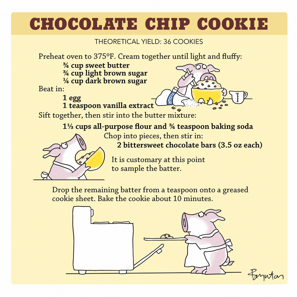 SandyBoynton's tweet photo. #ChocolateChipDay https://t.co/mxdwM2phad