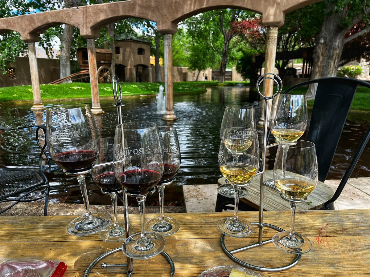 Having a nice lunch at the Casa Rondena winery.