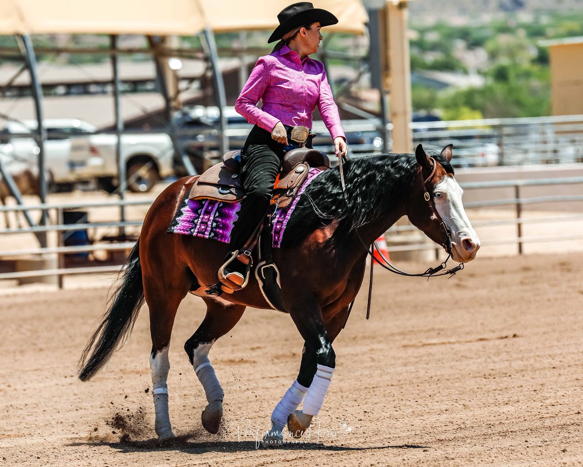 NatashaPusch's tweet photo. Took a break from grant apps to do what I love to do most… reining horse competitions 💕🐴 https://t.co/QkhFsgK4aw