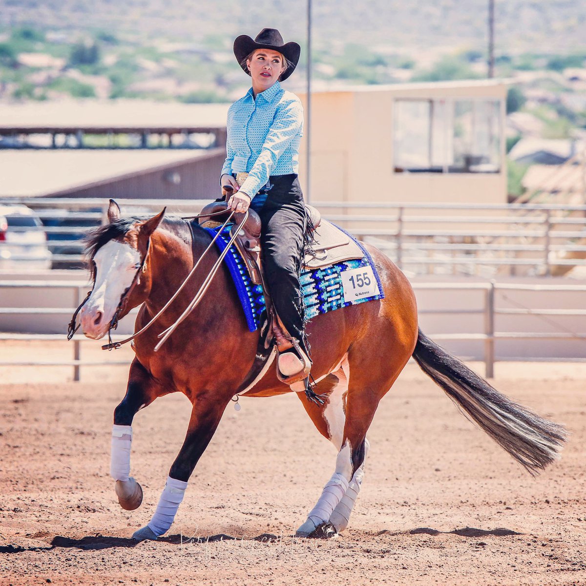 NatashaPusch's tweet photo. Took a break from grant apps to do what I love to do most… reining horse competitions 💕🐴 https://t.co/QkhFsgK4aw