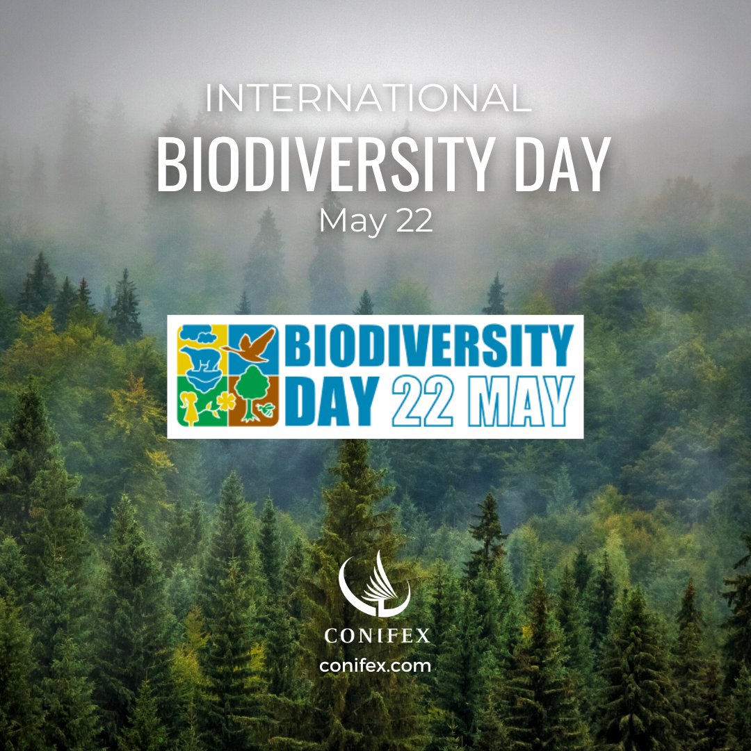 May 22 is International Day for Biological Diversity to increase understanding and awareness of biodiversity issues. <a href="/Conifex_BC/">Conifex</a>  believes in sustainable forest management practises, and has planted over 55 Million trees since inception.
#WeAreConifex
#IDB2023